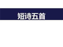 初中语文人教部编版九年级下册6 变色龙图片ppt课件