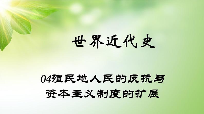 中考历史世界近代史专题之04殖民地人民的反抗与资本主义制度的扩展第1页