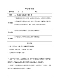 初中历史与社会人教版 (新课标)九年级下册第五课 独立自主的新中国外交学案设计