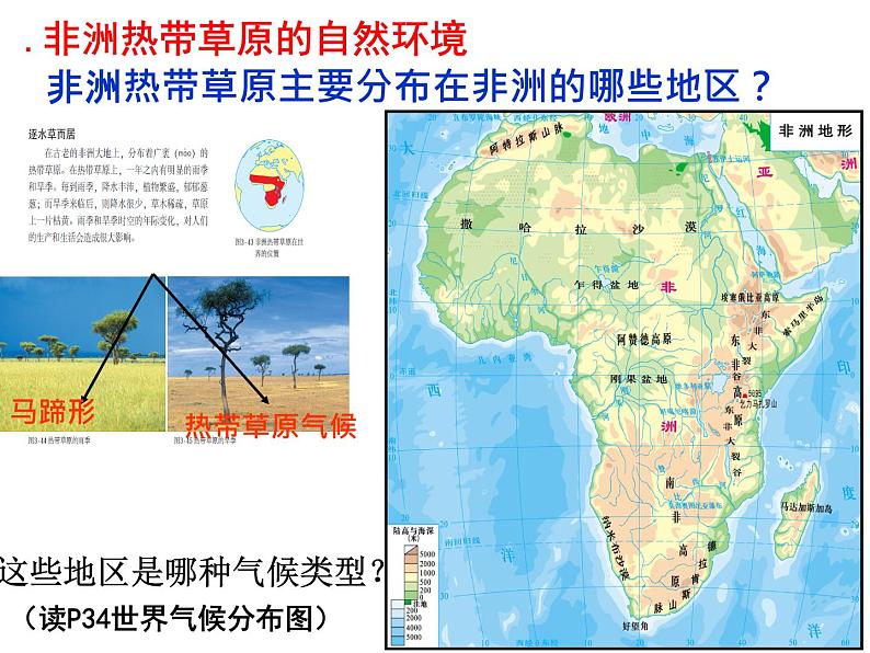 人教版历史与社会七年级上册 3.4.1逐水草而居（共28张PPT）课件PPT第5页