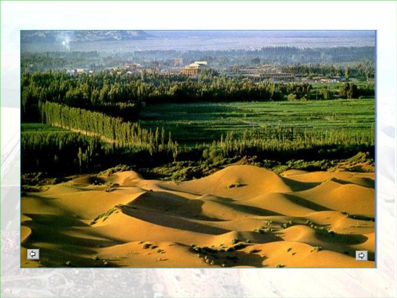 人教版历史与社会七年级上册 3.5.2沙漠绿洲 ——以“以色列”农业发展为例（共15张PPT）课件PPT03