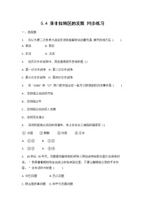 历史与社会人教版 (新课标)第四课 亚非拉地区的发展综合与测试同步达标检测题