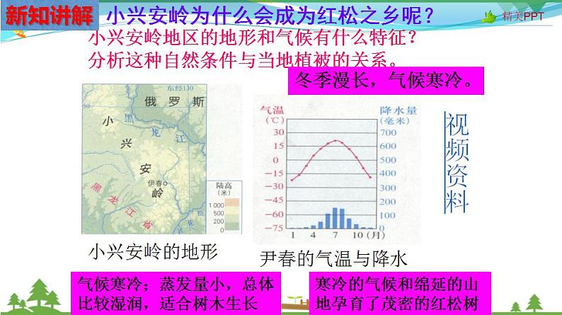 (人教版) 七年级 历史与社会 下册同步教学精品课件 6-1-1 红松之乡第8页