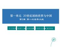 初中历史与社会人教版 (新课标)九年级上册第一课 第一次世界大战综合与测试课文ppt课件