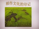 人教历史与社会七上《3.1.1稻作文化的印记》PPT课件 (4)