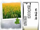 人教历史与社会七上《3.1.1稻作文化的印记》PPT课件 (5)