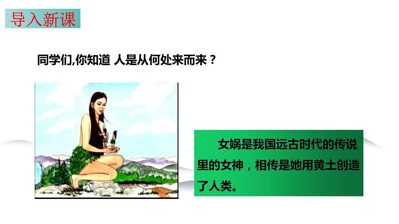 8.1 原始先民的家园 同步课件 初中历史与社会人教版七年级下册（2022年）第5页