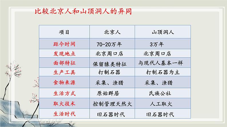 专题2.1  人类文明的发端与农业区域文明一 课件 初中历史与社会人教版一轮复习（2021年）03