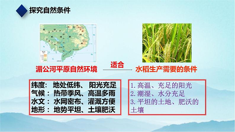 七年级历史与社会上册 3.1.1稻作文化的印记  课件+练习（人教版新课标）07