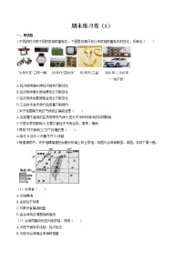 综合练习卷（1） 作业  初中历史与社会二轮复习（2022年）