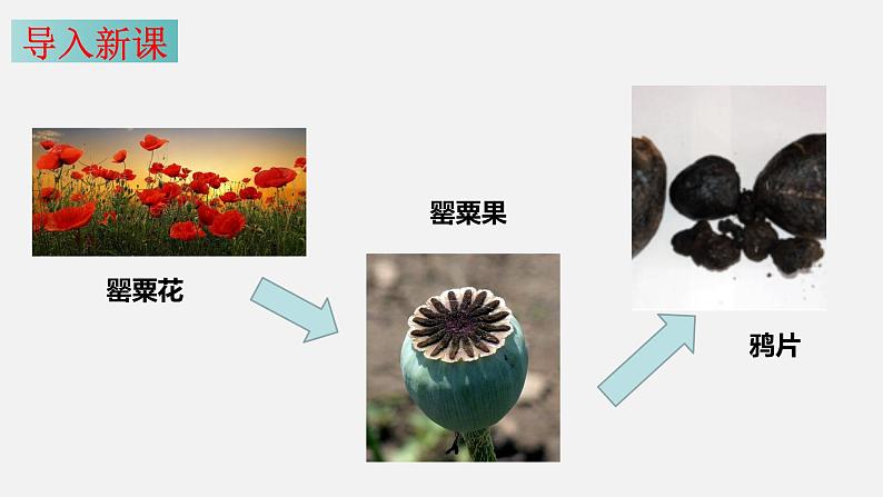 第一课 民族危机与中国人民的英勇抗争（课件）第6页