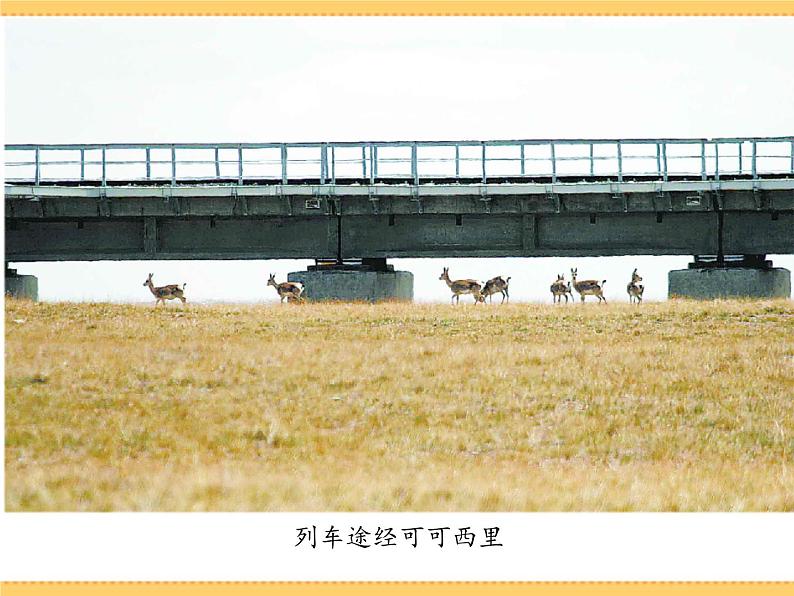 人文地理下册 4.1 海拔最高的牧区 课件PPT06