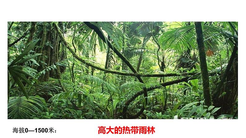 人教版人文地理上册 3.2.1 垂直的生计 课件PPT+视频素材08