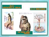 部编版历史与社会第一单元史前时期第一课《中国境内早期人类的代表-北京人》课件1