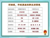 部编版历史与社会第一单元史前时期第三课《远古的传说》课件