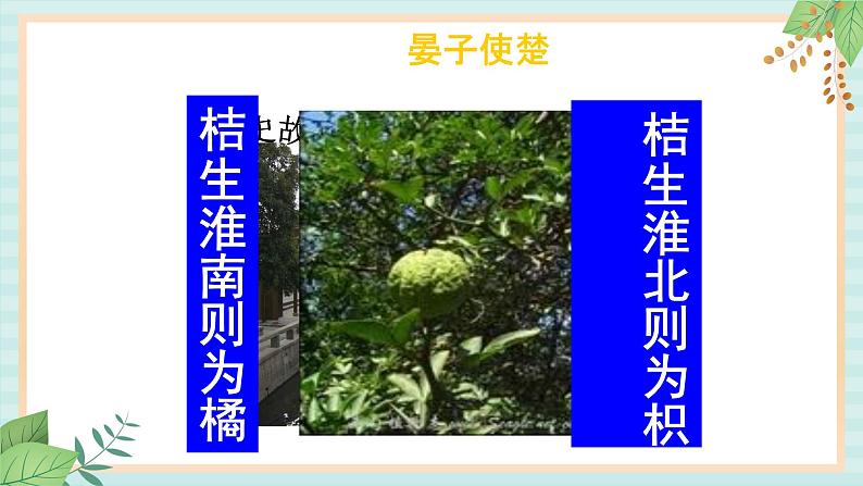 人教版初中历史与社会下册《秦岭——淮河分南北》课件02