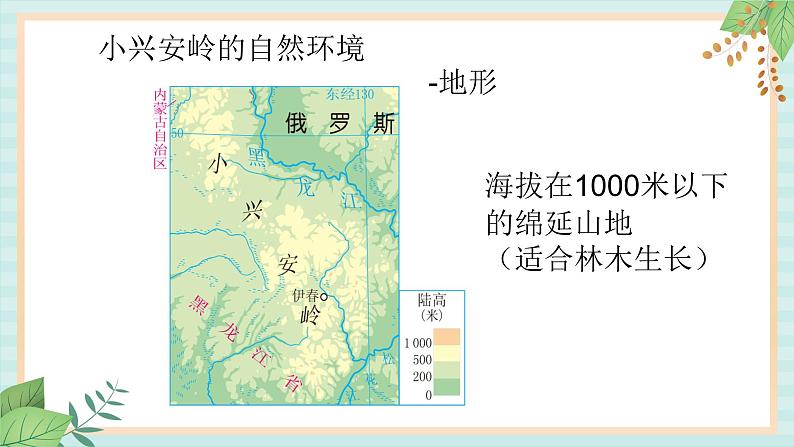 人教版初中历史与社会下册《红松之乡》课件05