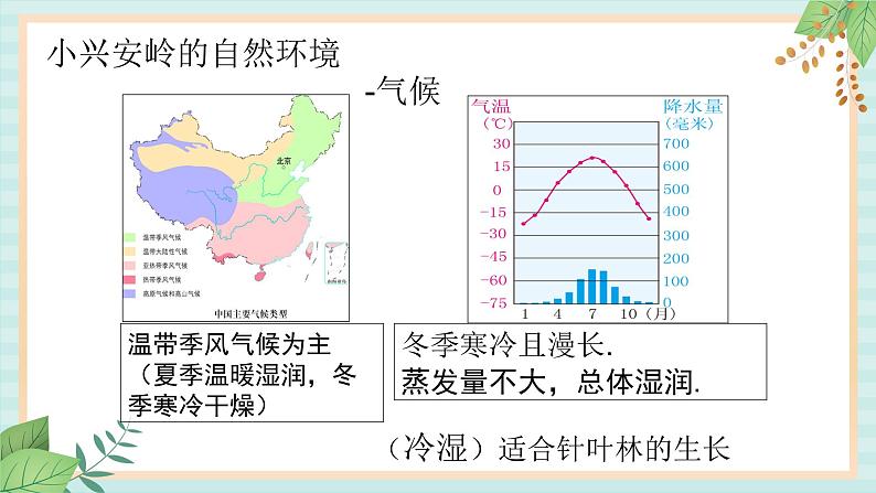 人教版初中历史与社会下册《红松之乡》课件06