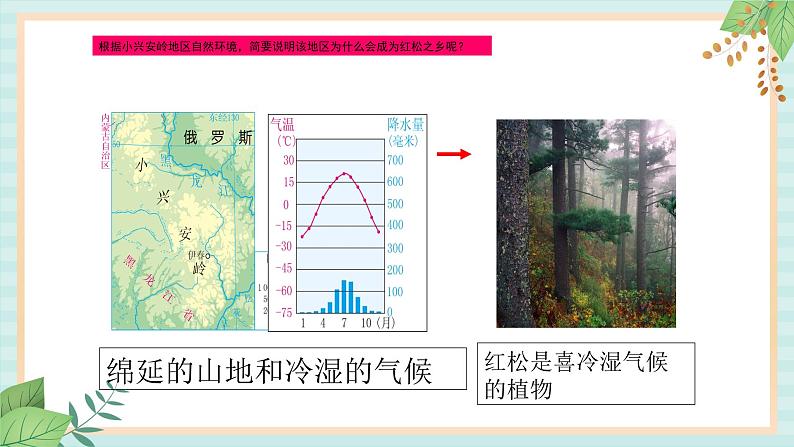 人教版初中历史与社会下册《红松之乡》课件07