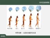 1.1《中国境内早期人类的代表——北京人》课件