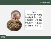 1.1《中国境内早期人类的代表——北京人》课件