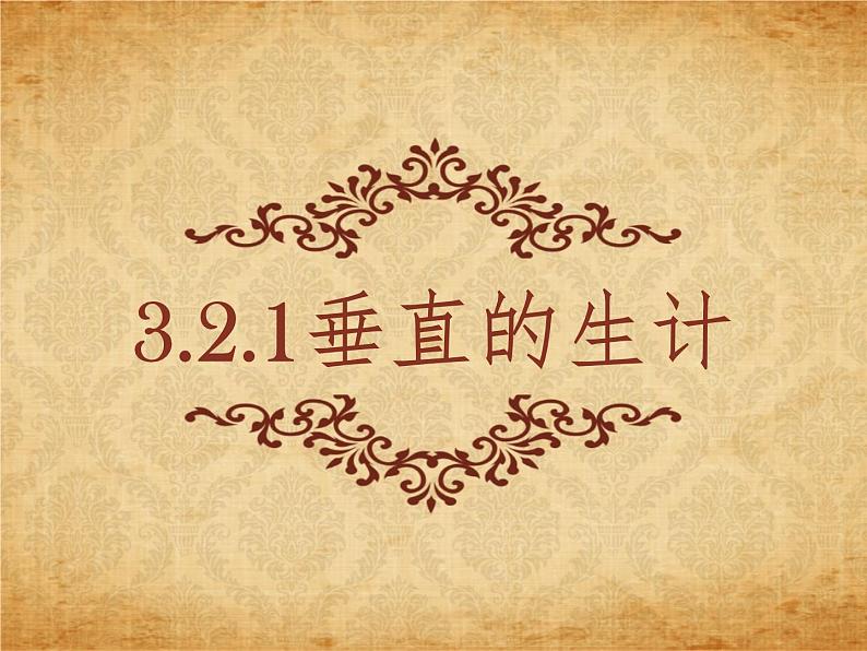 3.2.1垂直的生计 教学课件01