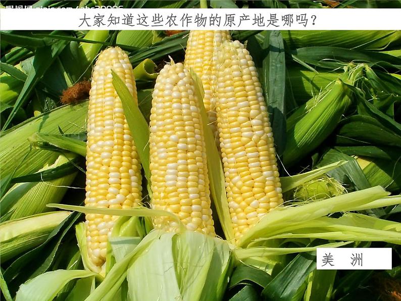 3.2.1垂直的生计 教学课件03