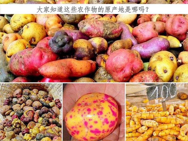 3.2.1垂直的生计 教学课件04