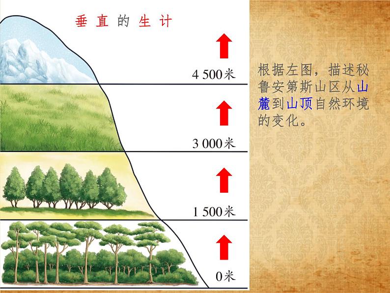 3.2.1垂直的生计 教学课件07