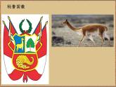3.2.1垂直的生计 教学课件