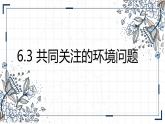 6.3 共同关注的环境问题 课件
