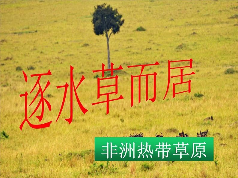 逐水草而居 课件第1页