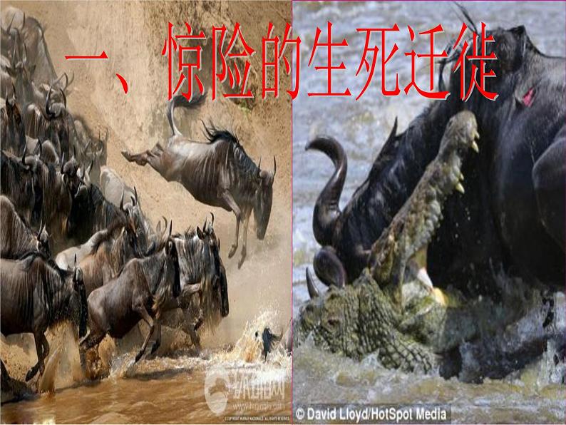 逐水草而居 课件第2页