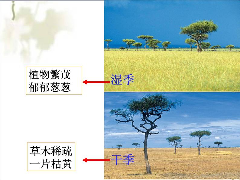 逐水草而居 课件第8页