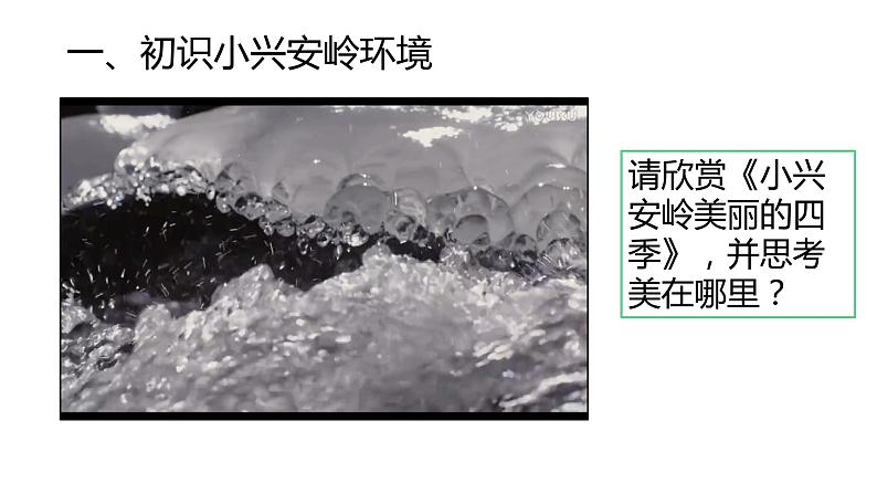 6-1-1红松之乡 课件04