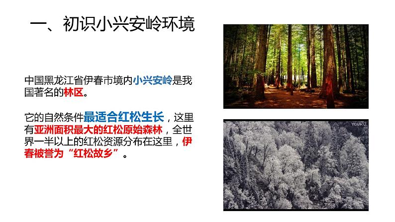 6-1-1红松之乡 课件05
