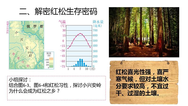 6-1-1红松之乡 课件06