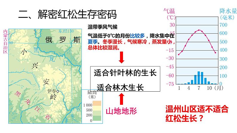 6-1-1红松之乡 课件07