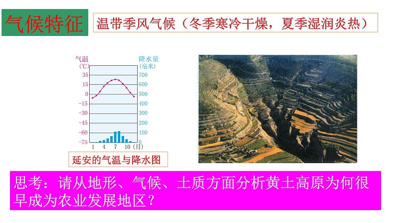 6-1-2沟壑纵横的黄土高原 课件06