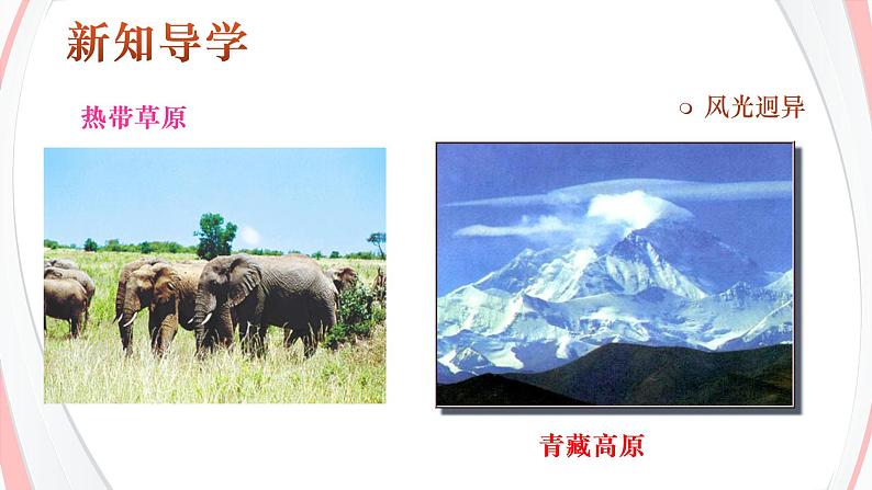 2.2.4风光迥异第6页