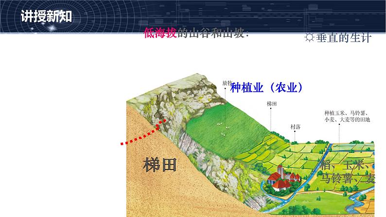 3.2.1垂直的生计 课件08