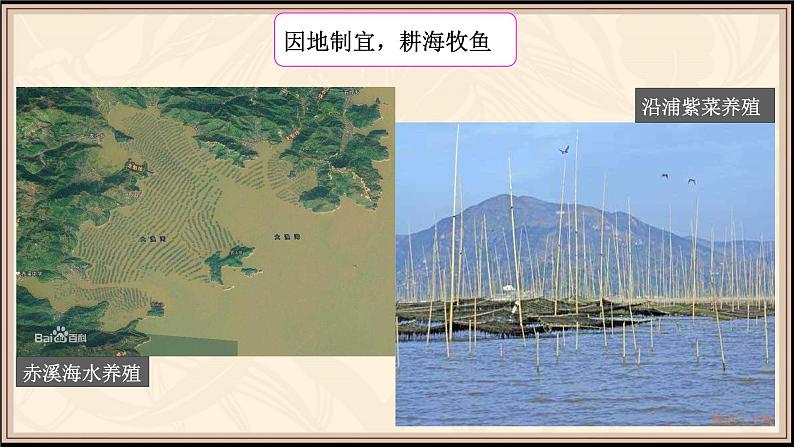 3.3.1耕海牧鱼-教学课件03