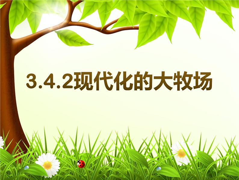 3.4.2现代化的大牧场同步课件01