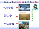 第三课  共同关注的环境问题 课件