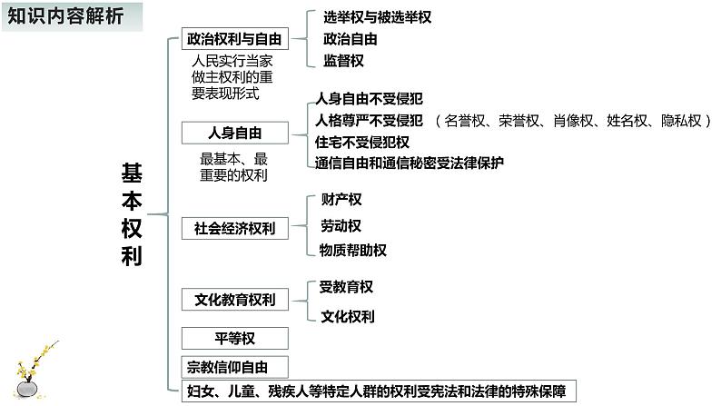 中考社会法治一轮复习：《权利与义务》 课件第4页