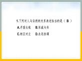 8.4.2 因地制宜謀發(fā)展課件PPT