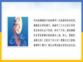 第一单元第二课第一目 早期国家与社会 课件