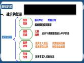5.2.1美国成为超级大国（课件+教案+练习）