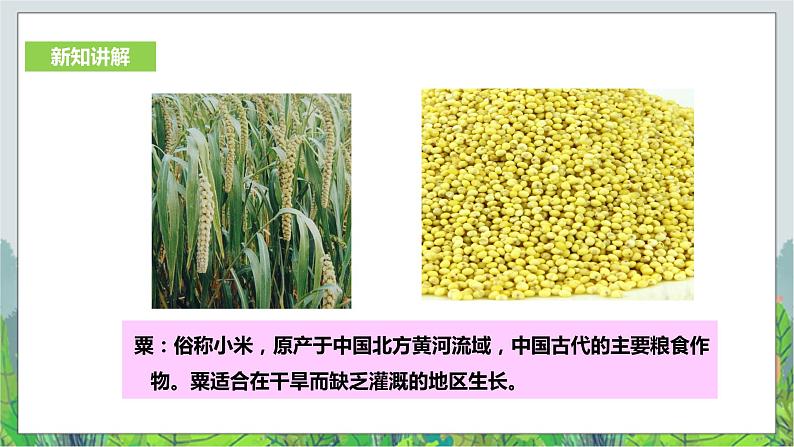 8.3中华文明探源 第1课时（课件+教案+练习）07