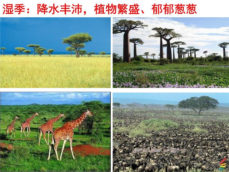 逐水草而居 课件第6页